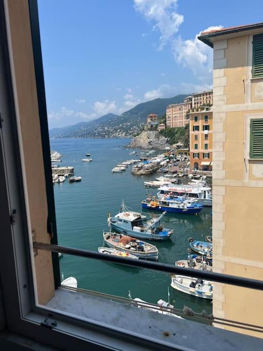 Appartamento Attico Sul Porticciolo Antico Di Camogli Esterno foto